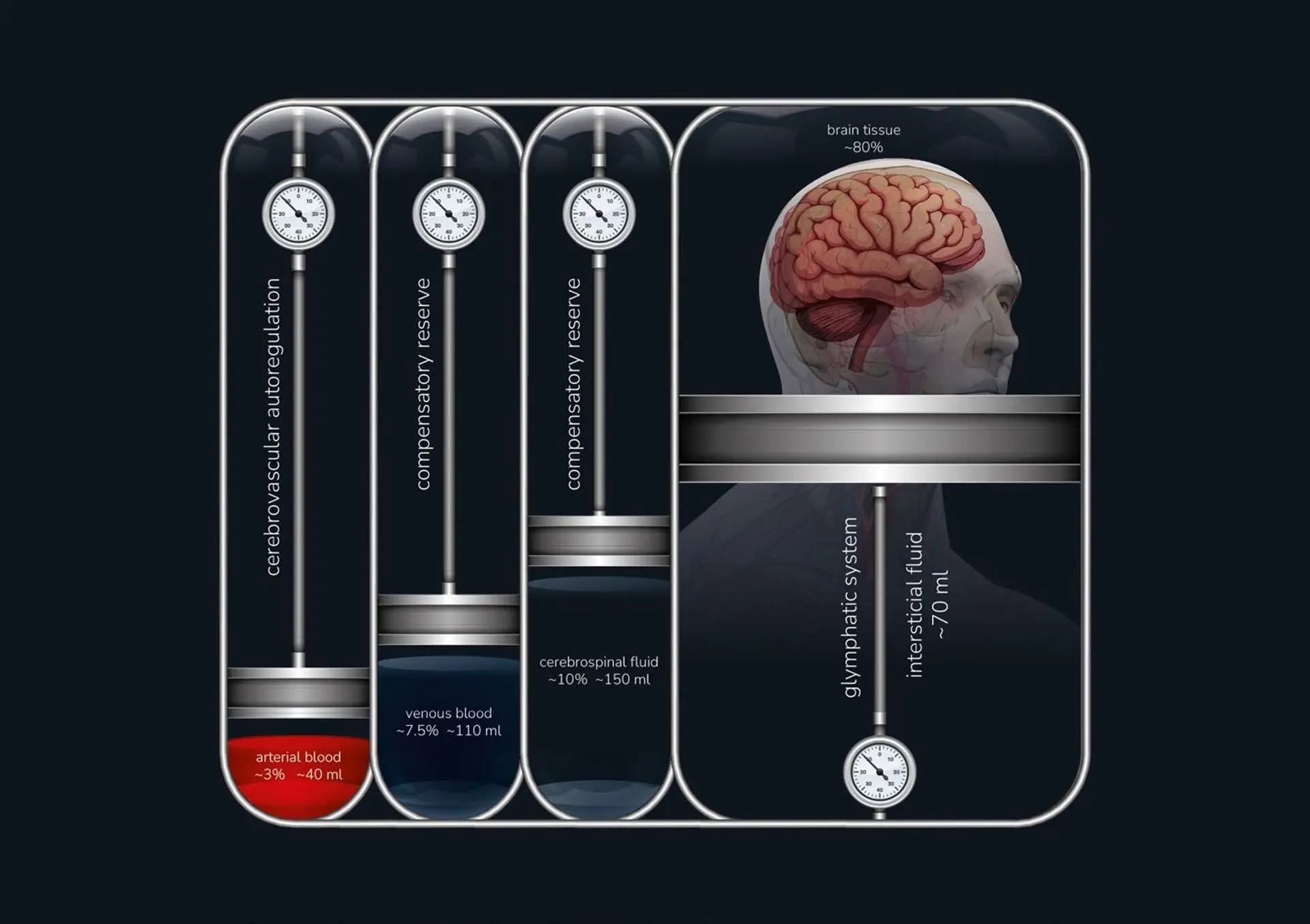 Fig. 1 MONRO-KELLIE 4.0, la naturaleza dinámica de los componentes intracraneales y sus determinantes de variación. La autorregulación cerebrovascular para la sangre arterial, la reserva amortiguadora para los volúmenes venosos y de LCR, y la actividad glinfática para regular el espacio intersticial y, en consecuencia, el volumen del tejido cerebral.